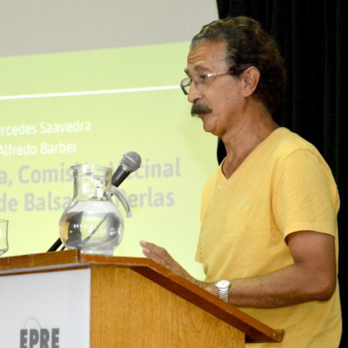 Audiencia Pública 4° RTO EdERSA