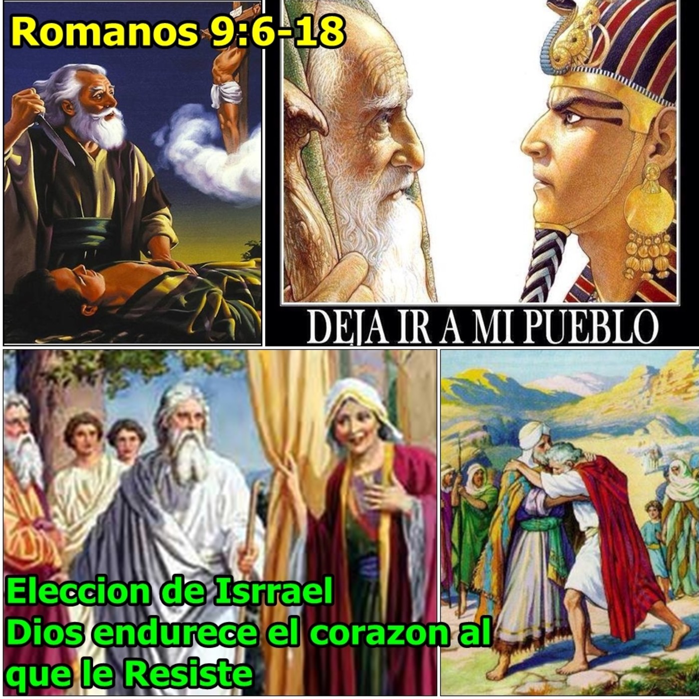 99-Romanos P.V.E