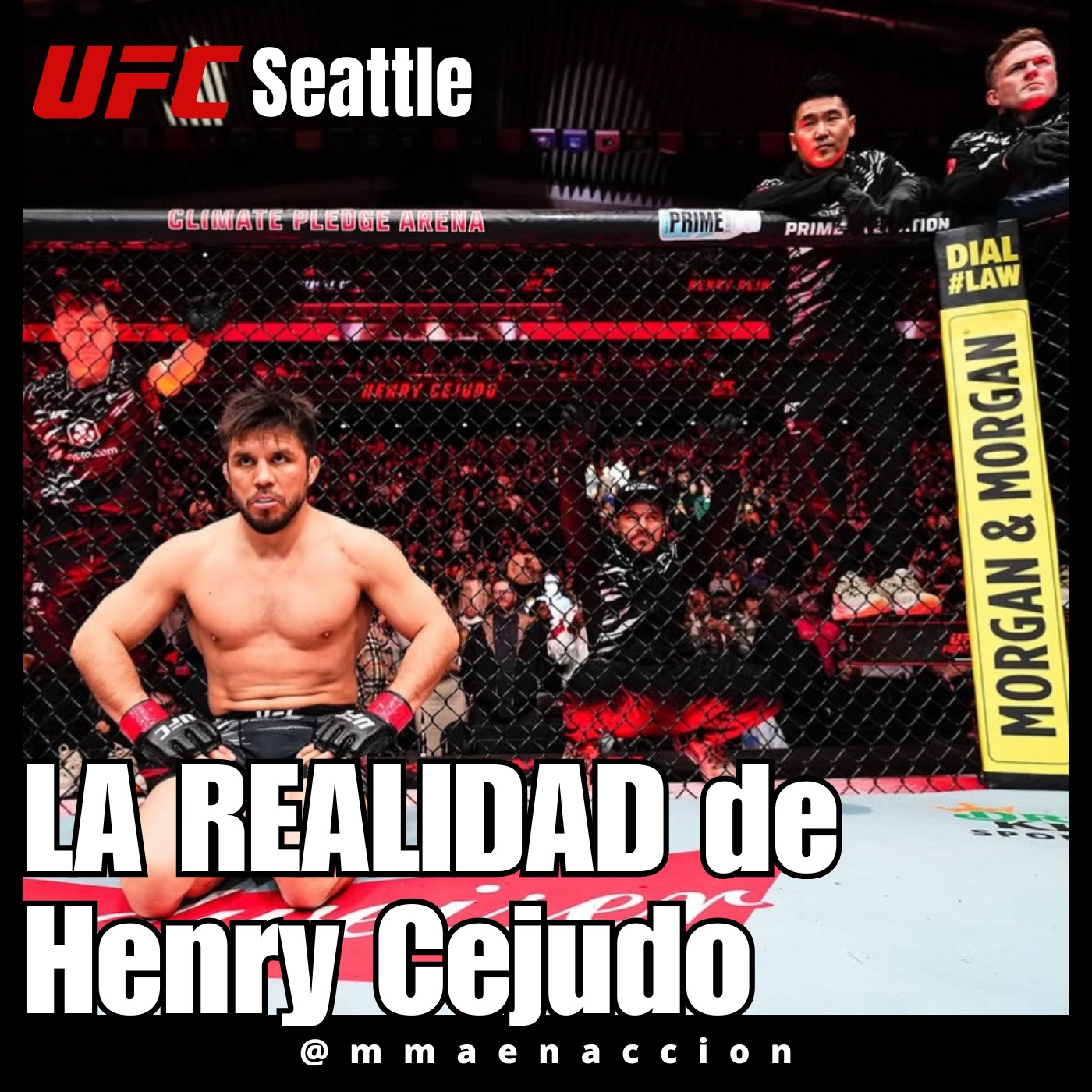 MMA en acción