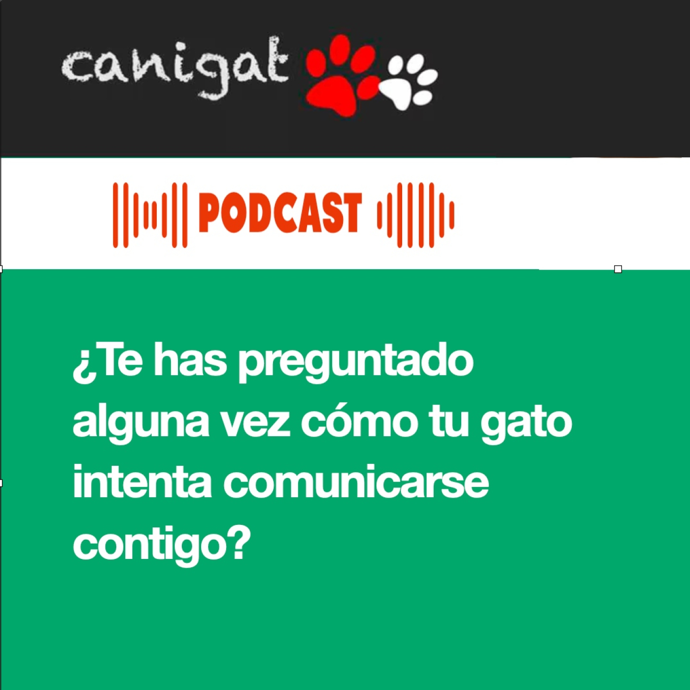 Consejos veterinarios de perros y gatos by canigat