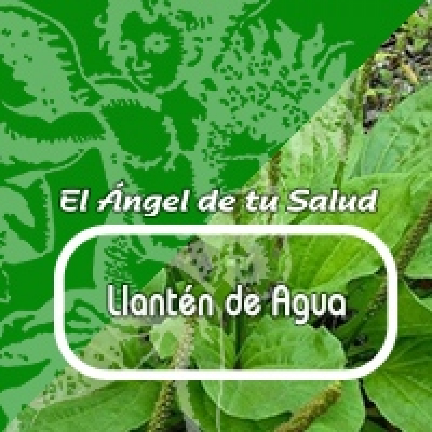 El Angel de tu Salud - LLANTÉN DE AGUA* episode artwork