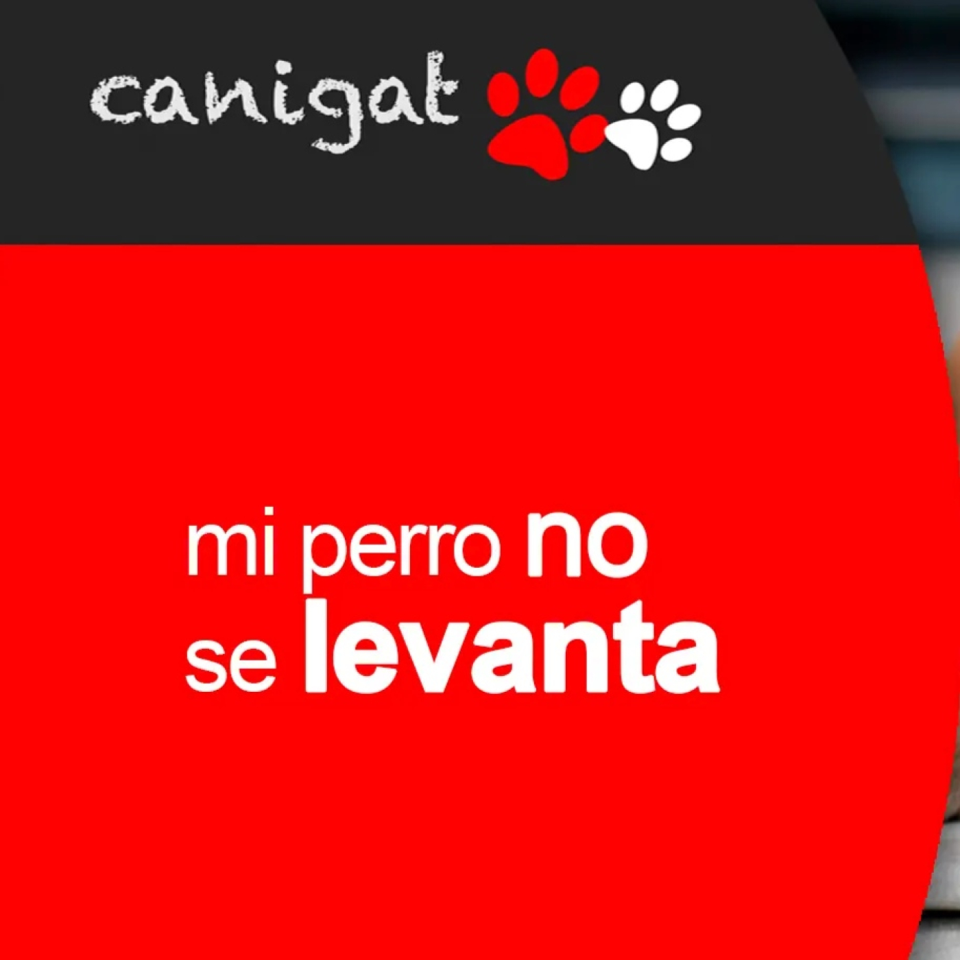 Consejos veterinarios de perros y gatos by canigat