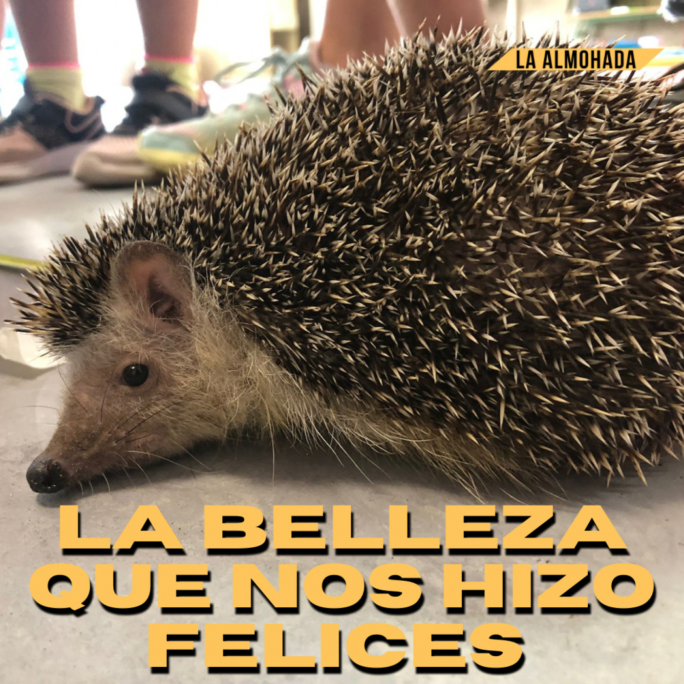 La almohada