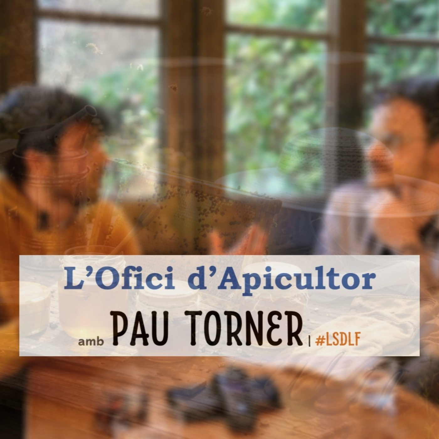 L'Ofici d'Apicultor amb Pau Torner episode artwork