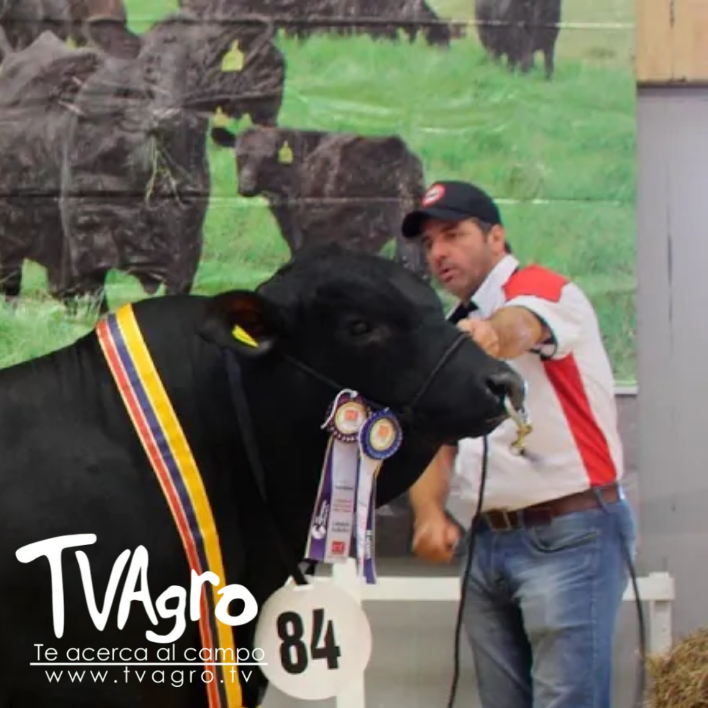 TV AGRO