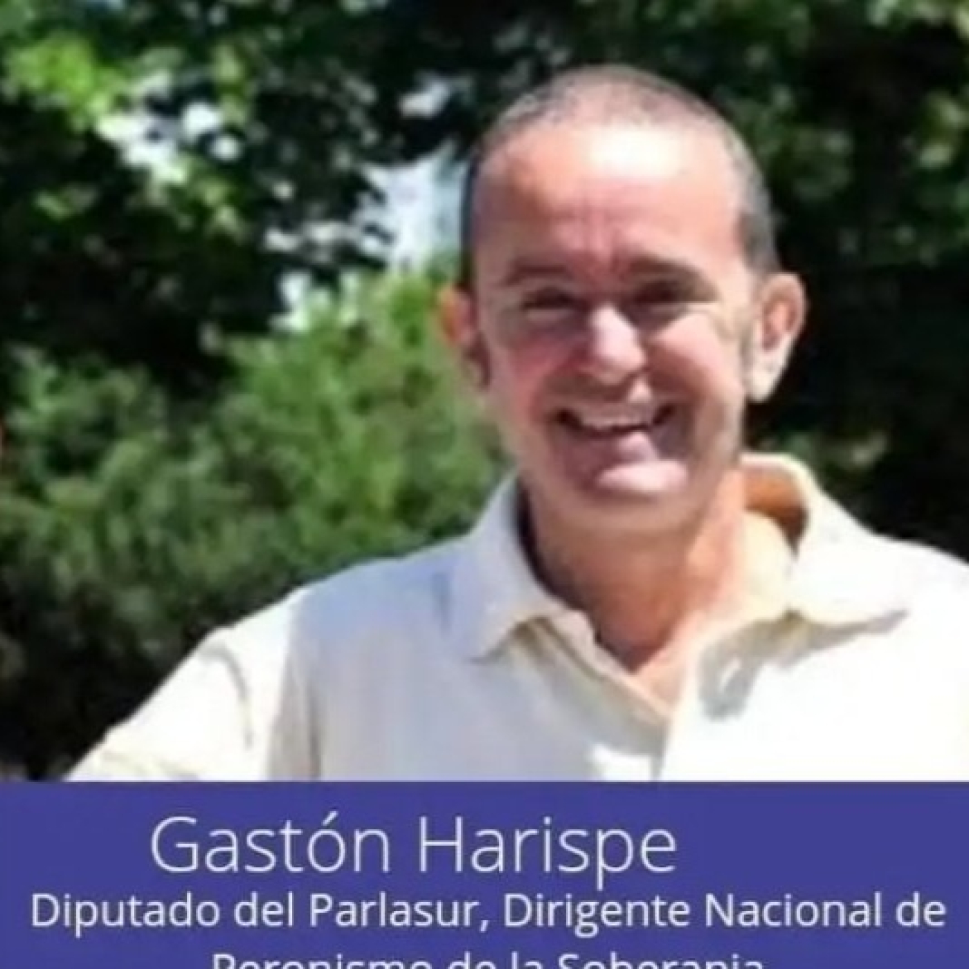 FABRICIO MOSCHETTONI