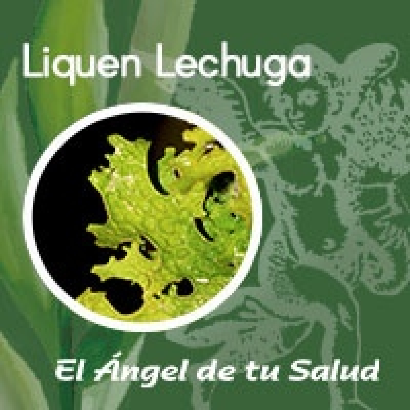 El Ángel de tu Salud - Liquen Lechuga** episode artwork