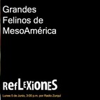 Reflexiones, Grandes Felinos de MesoAmerica
