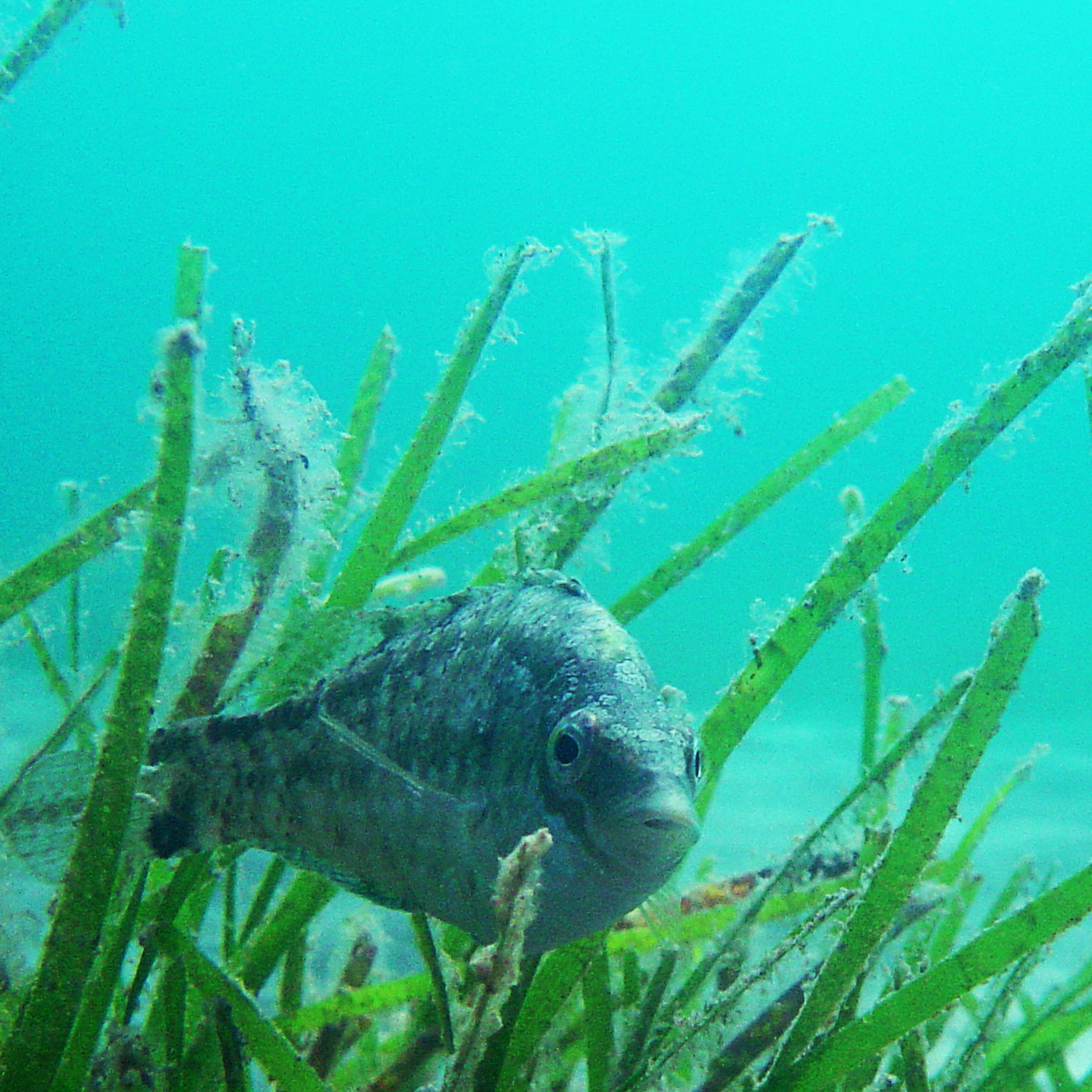 Al otro lado del espejo - Materia reservada