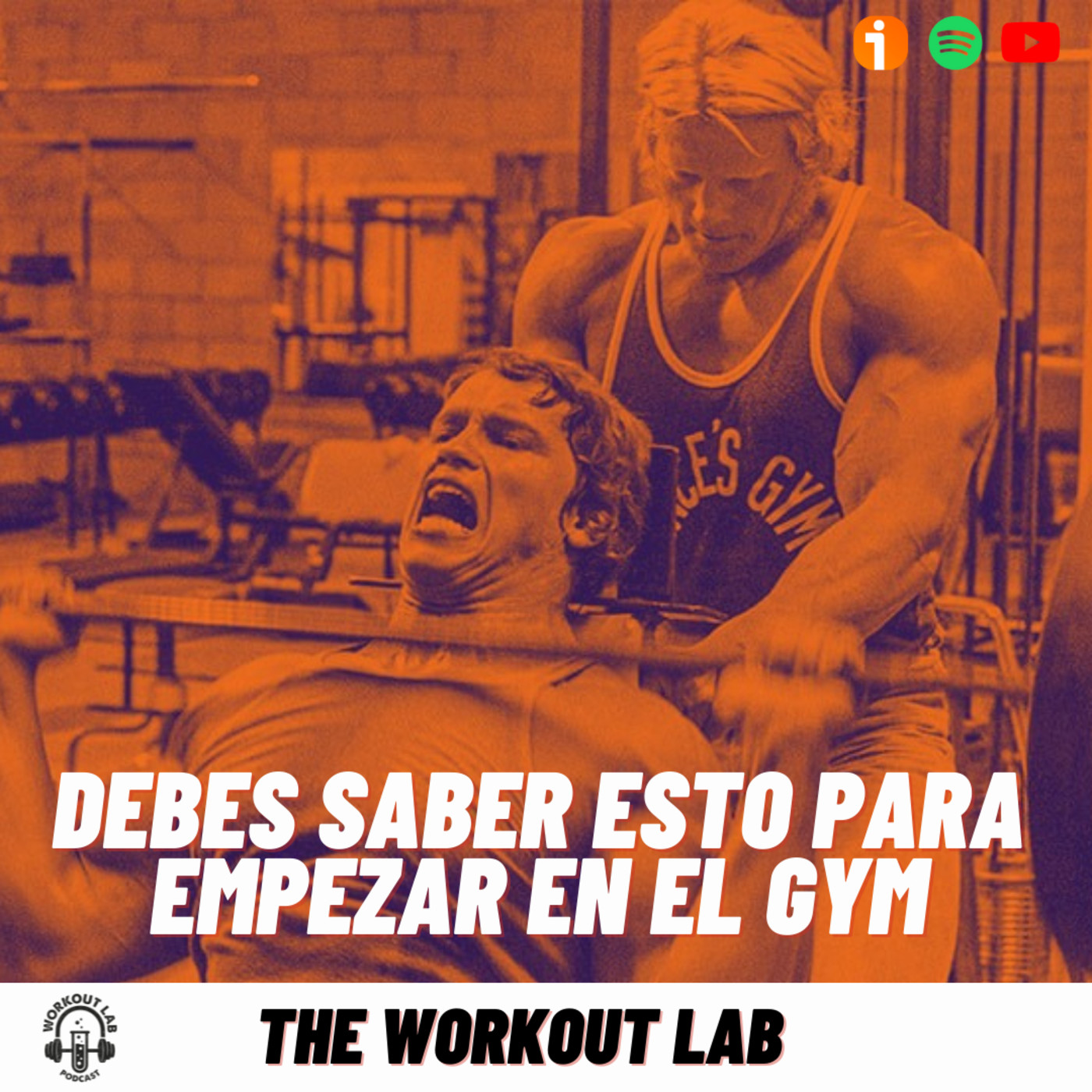 The Workout Lab