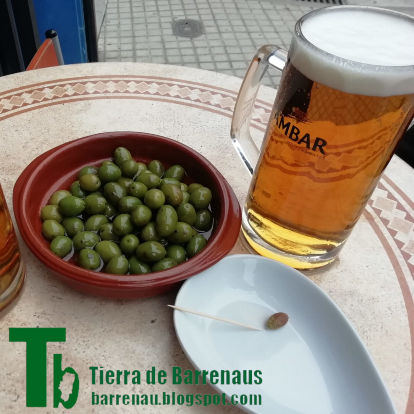 Tierra de barrenaus