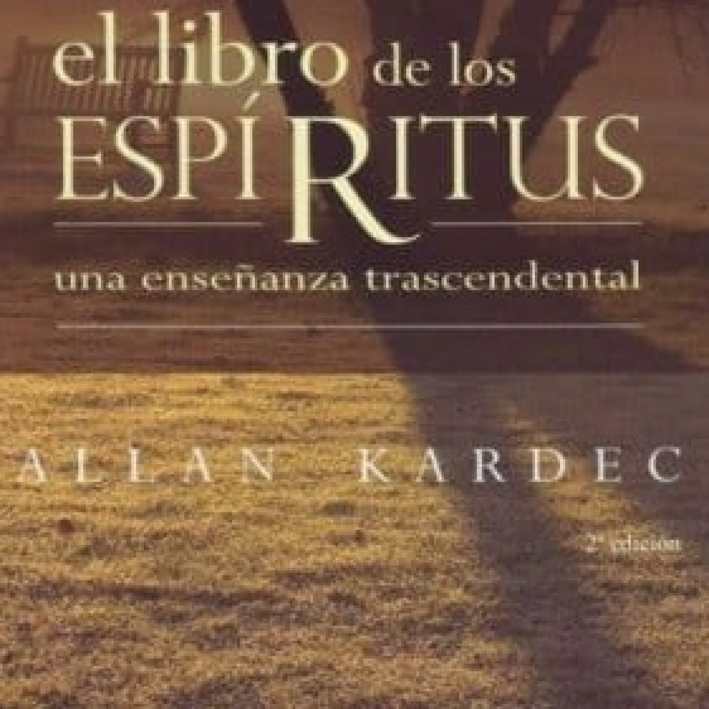 Disfrutando Leyendo