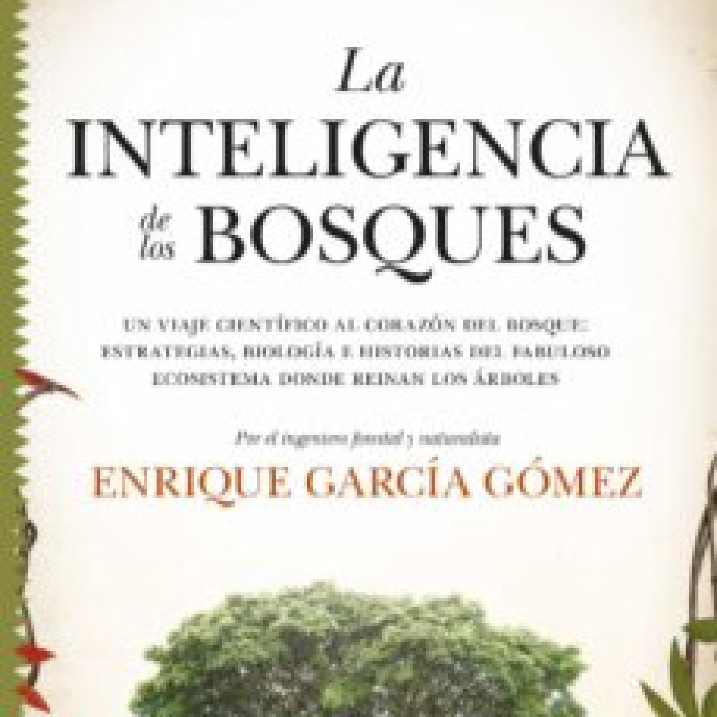 Podcast Fascinación por las plantas