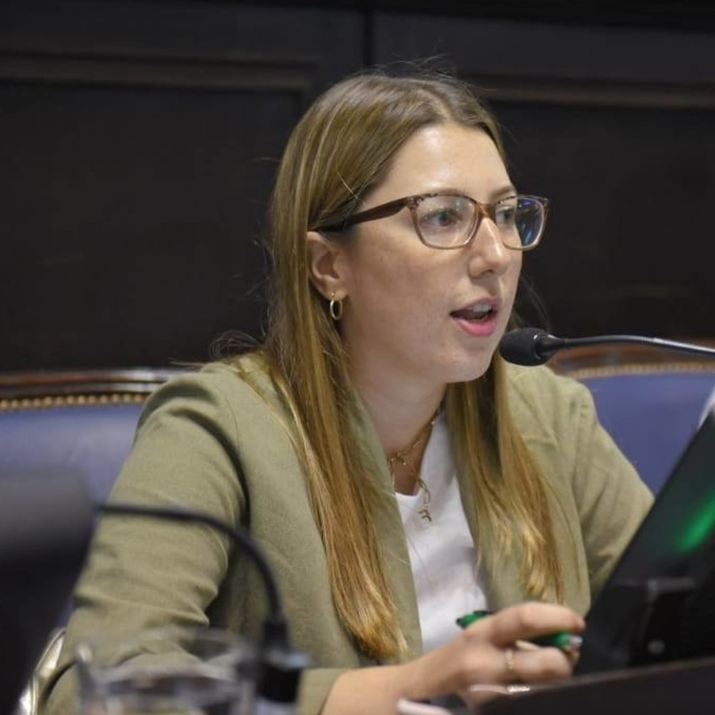VILLARINO INFORMA