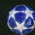 embed image
