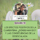 Episodio 13 - Los Efectos Positivos de la Cuarentena...¿Dónde Han Ido? Y las Desastrosas Consecuencias de la Desescalada