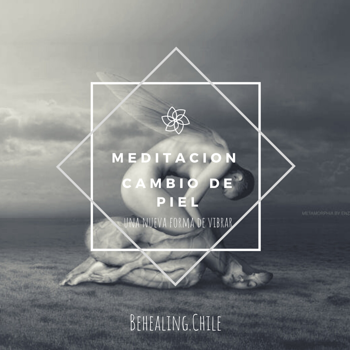 Behealing.chile