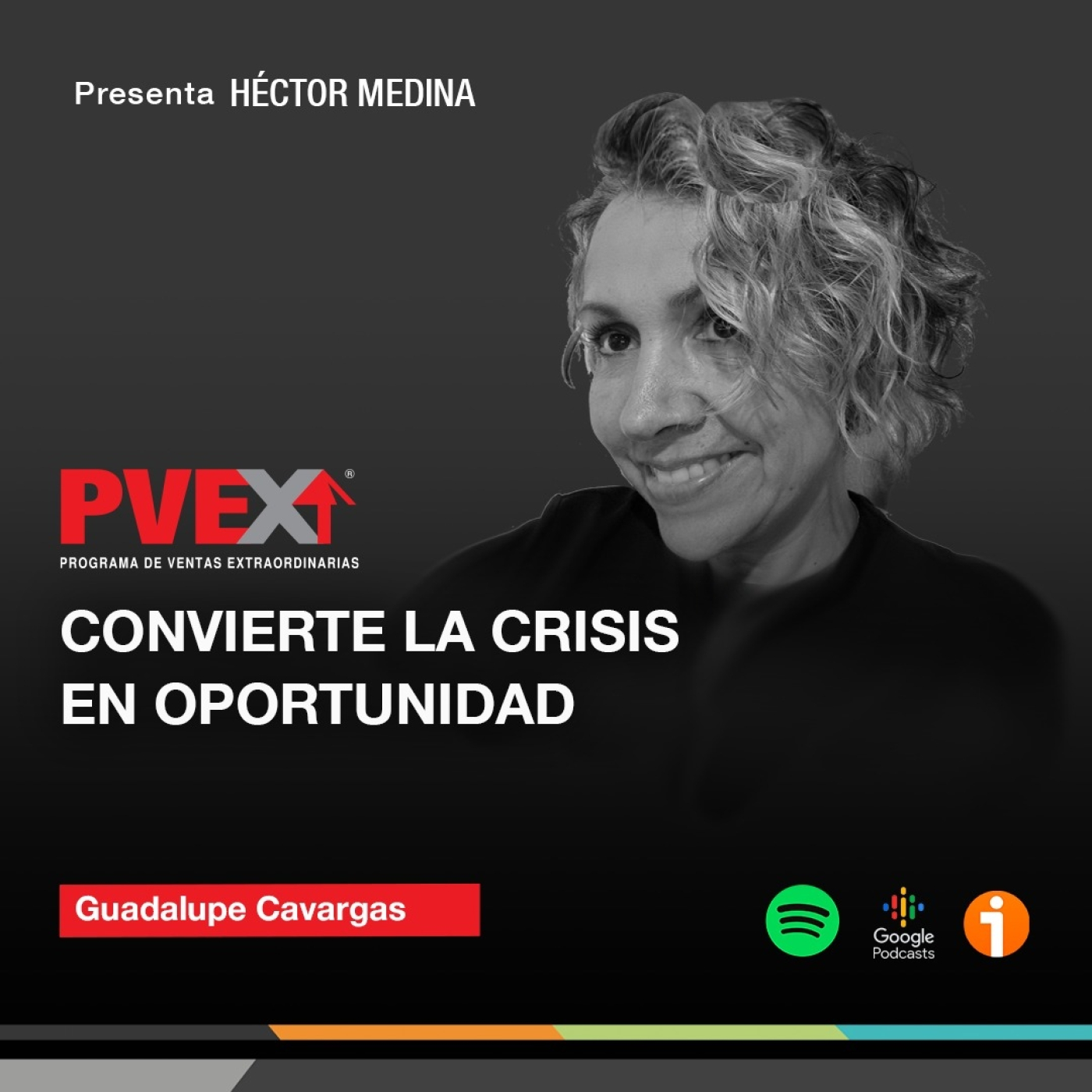 Programa de Ventas Extraordinarias (PVEX)