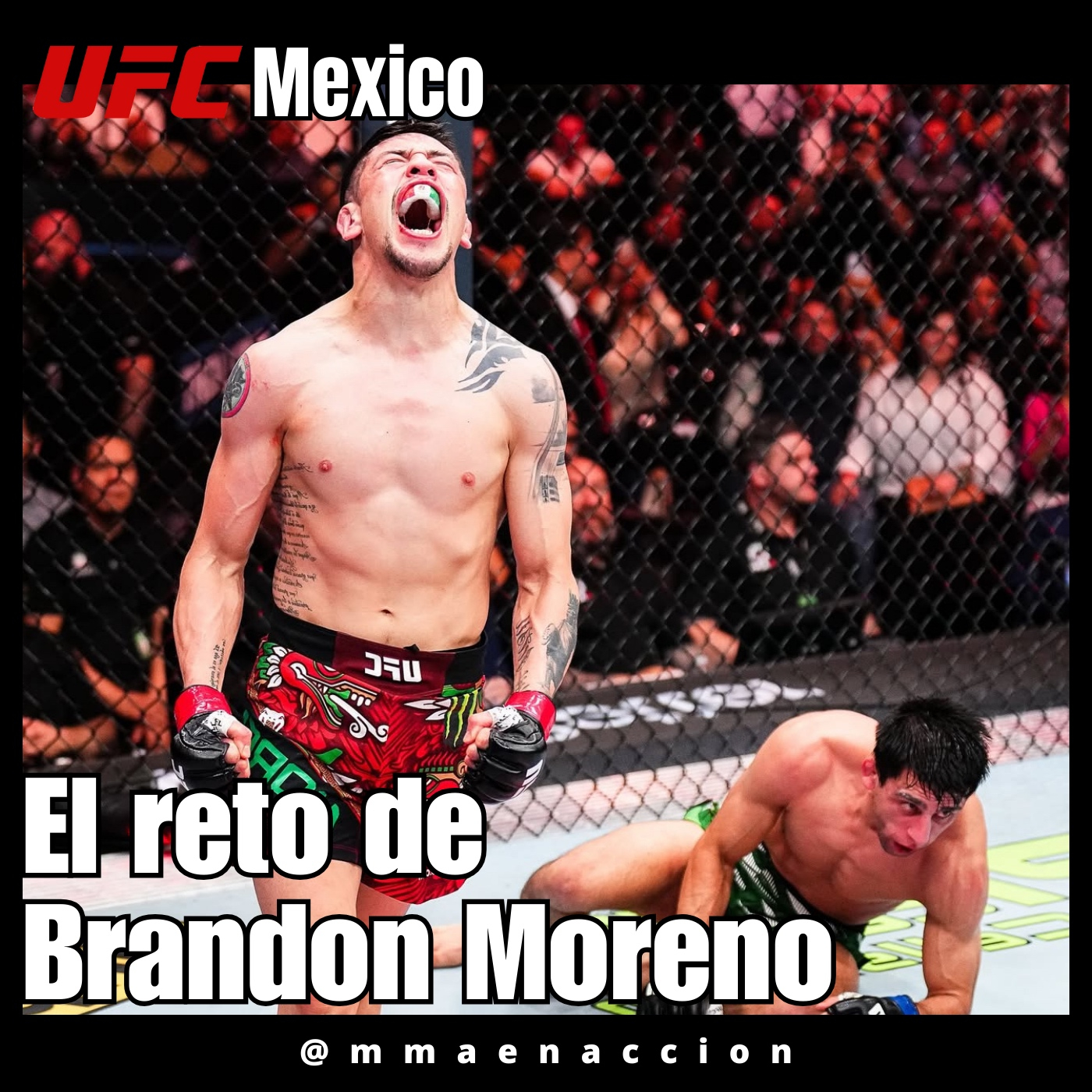 MMA en acción