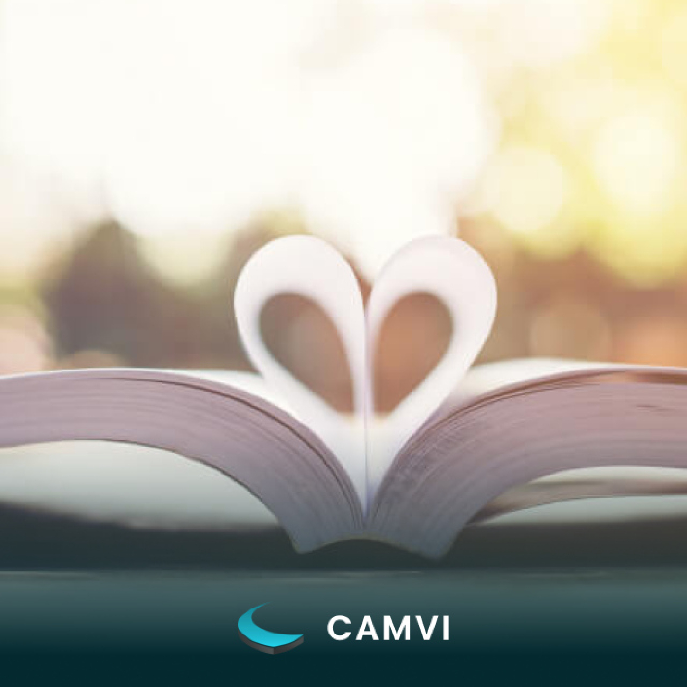 CAMVI