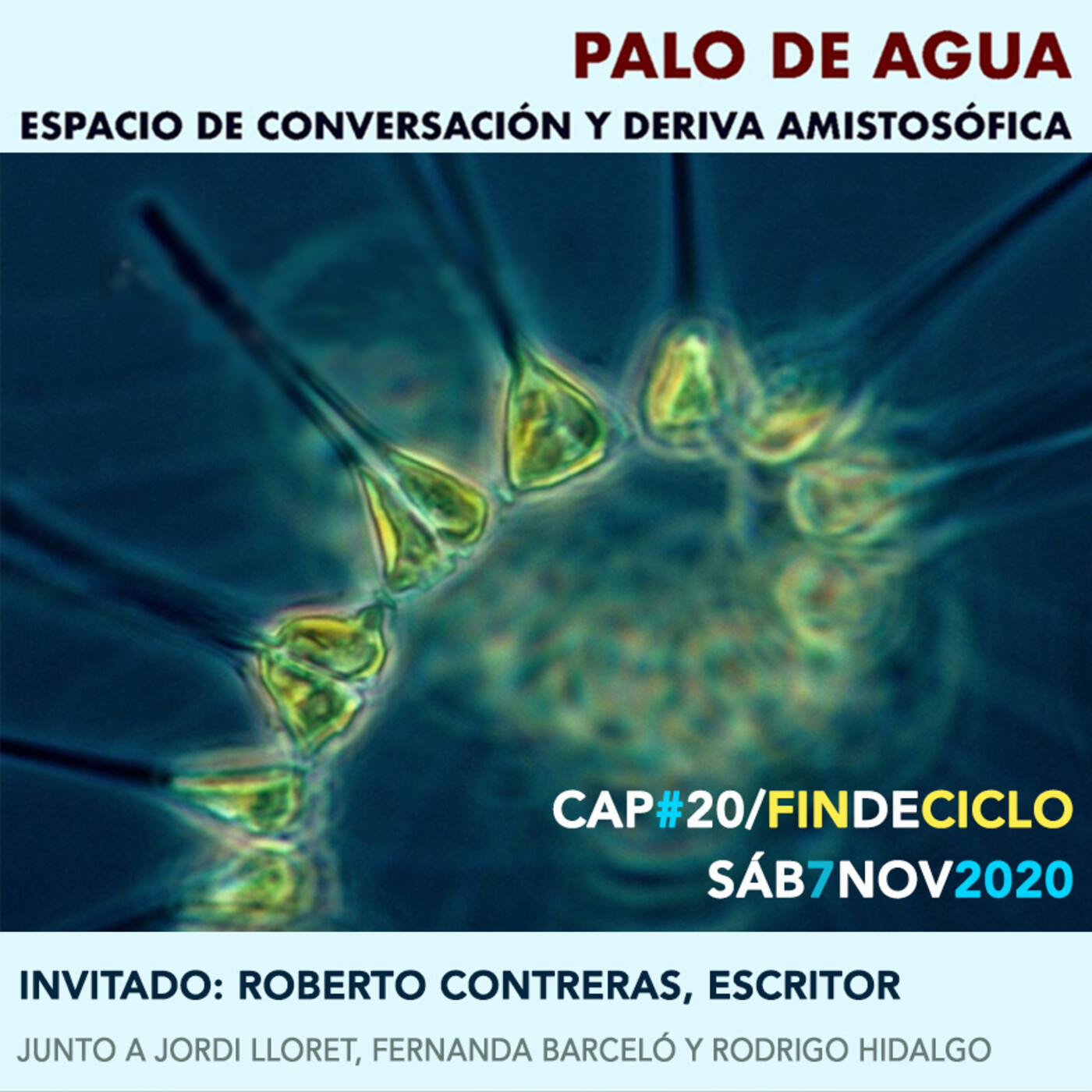 Palo de agua