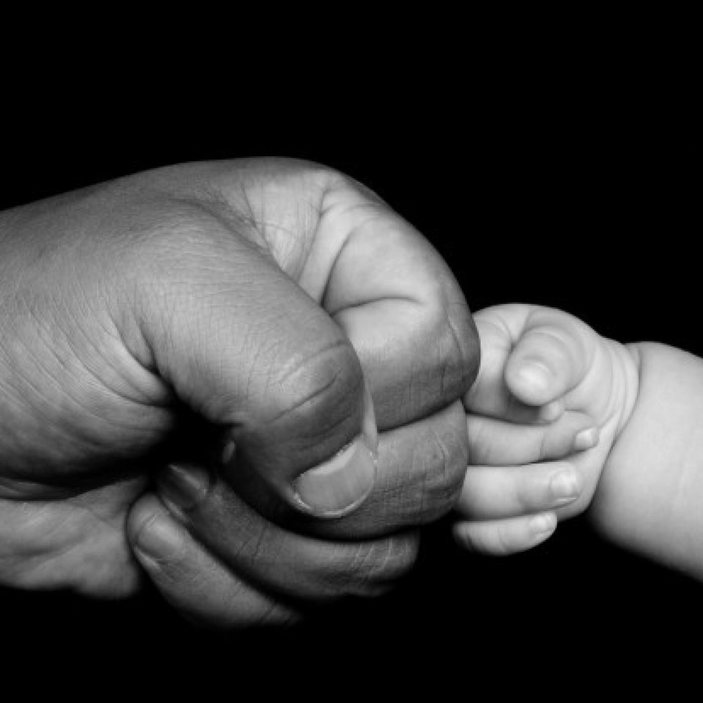 Ptor Ap. Gustavo Latini. 2016