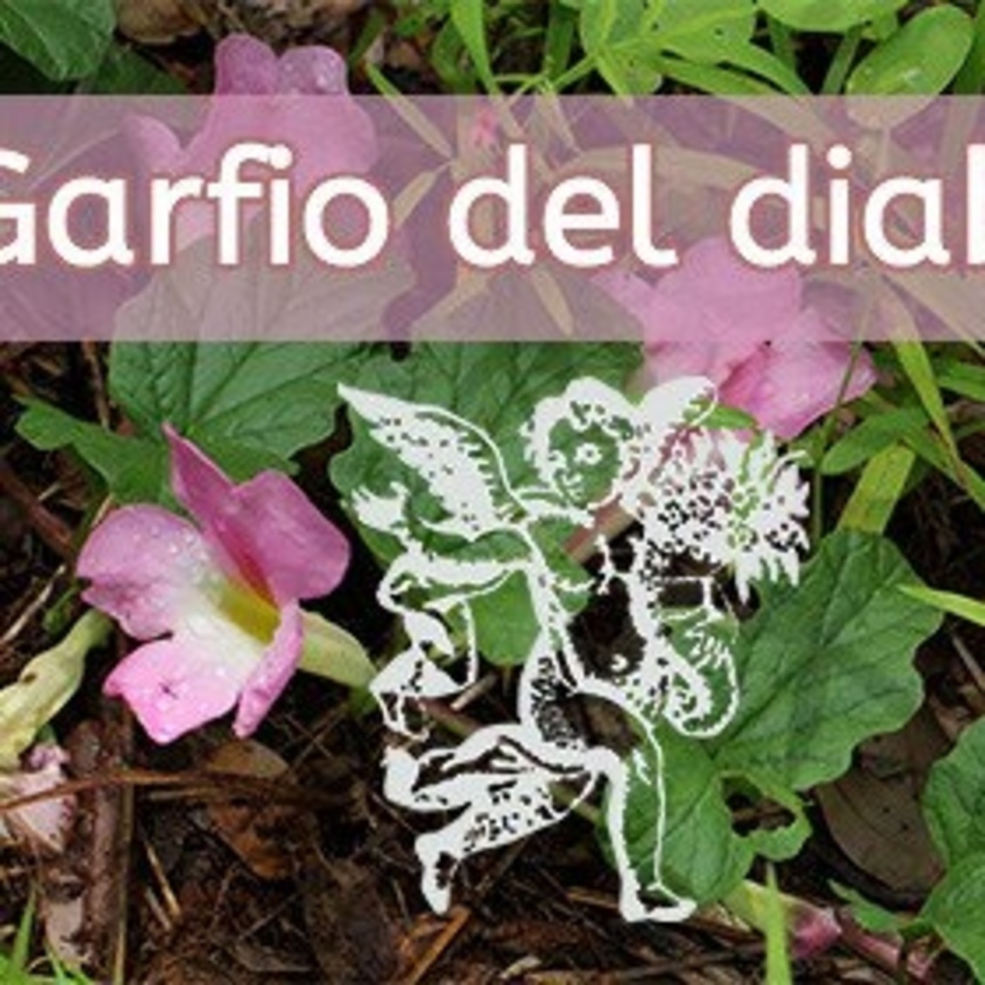 El Ángel de tu Salud - GARFIO DEL DIABLO episode artwork