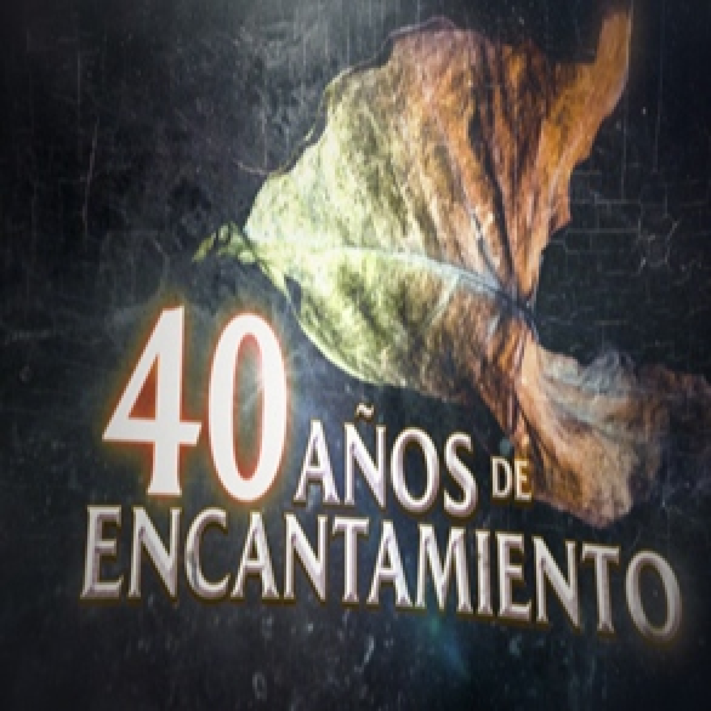 Cuarto Milenio 20×12 (01/12/2024): 40 años de encantamiento