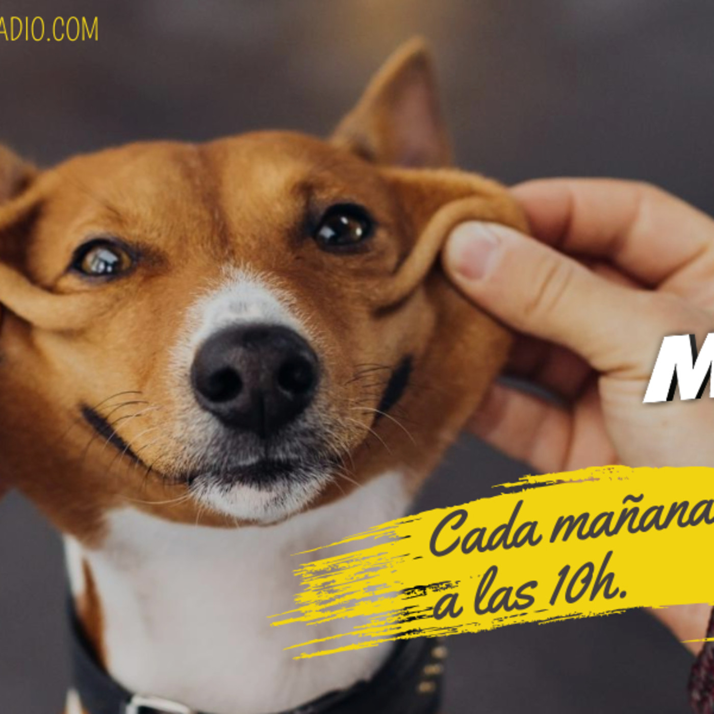 Matinal MDT Radio