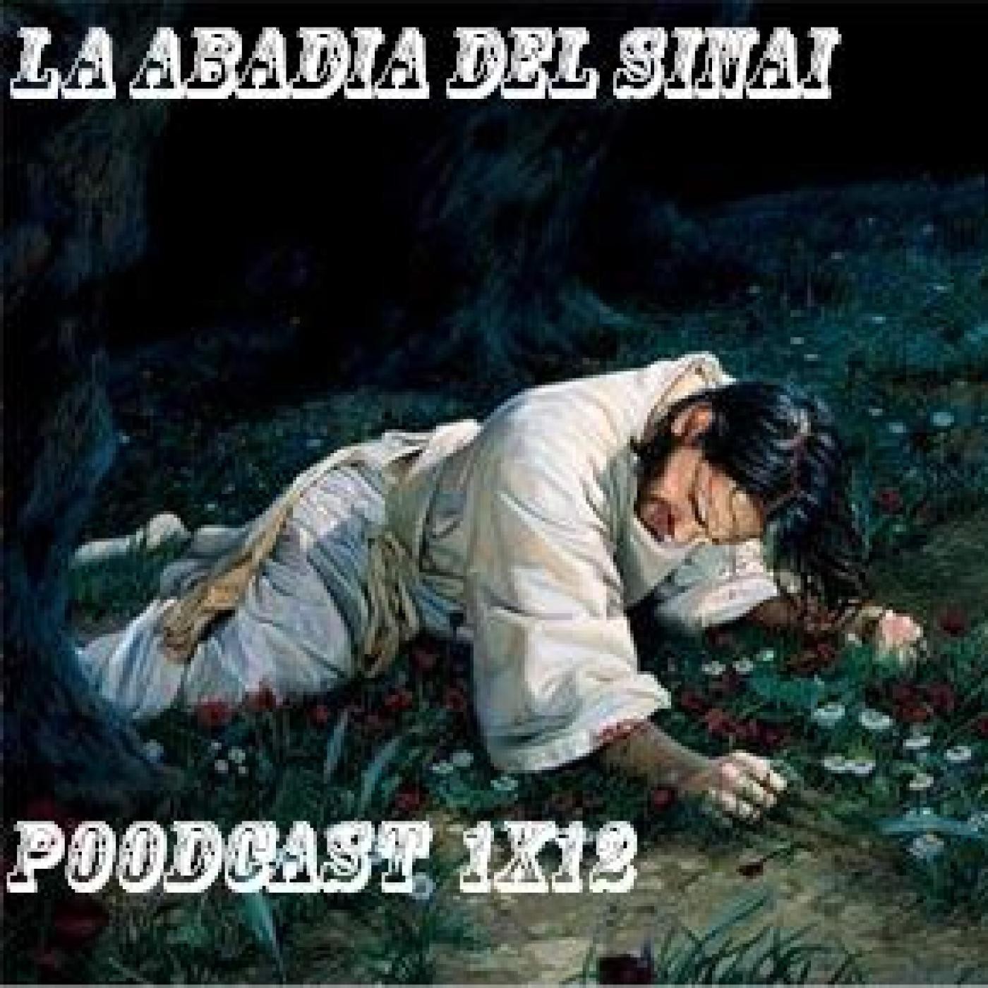 Abadia  del Sinai