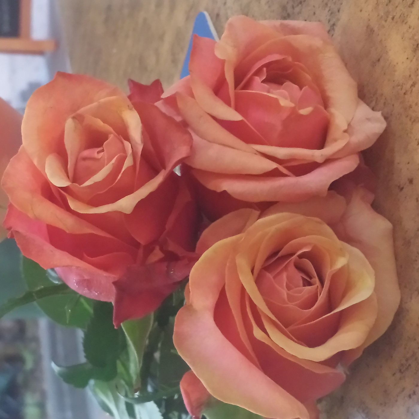 Nuestra Mente es Maravillosa