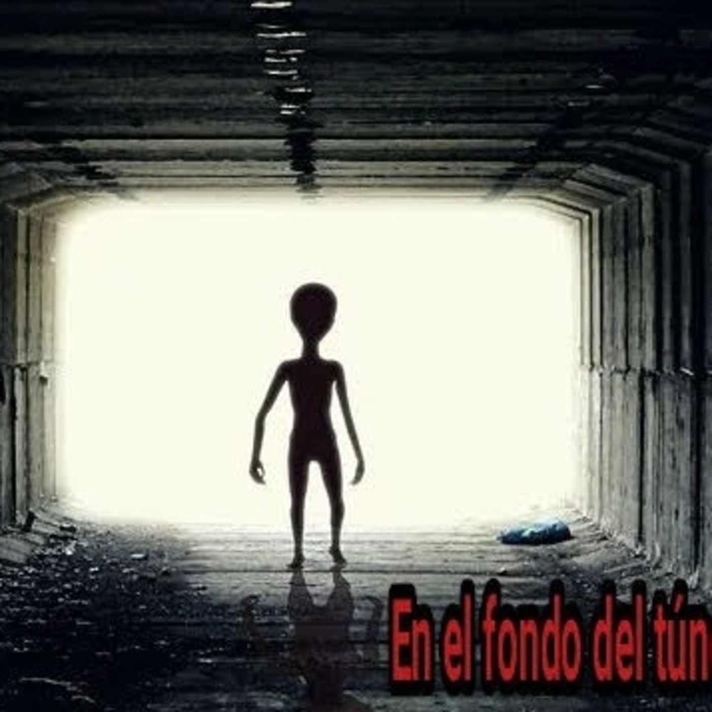 LA PUPILA INSOMNE