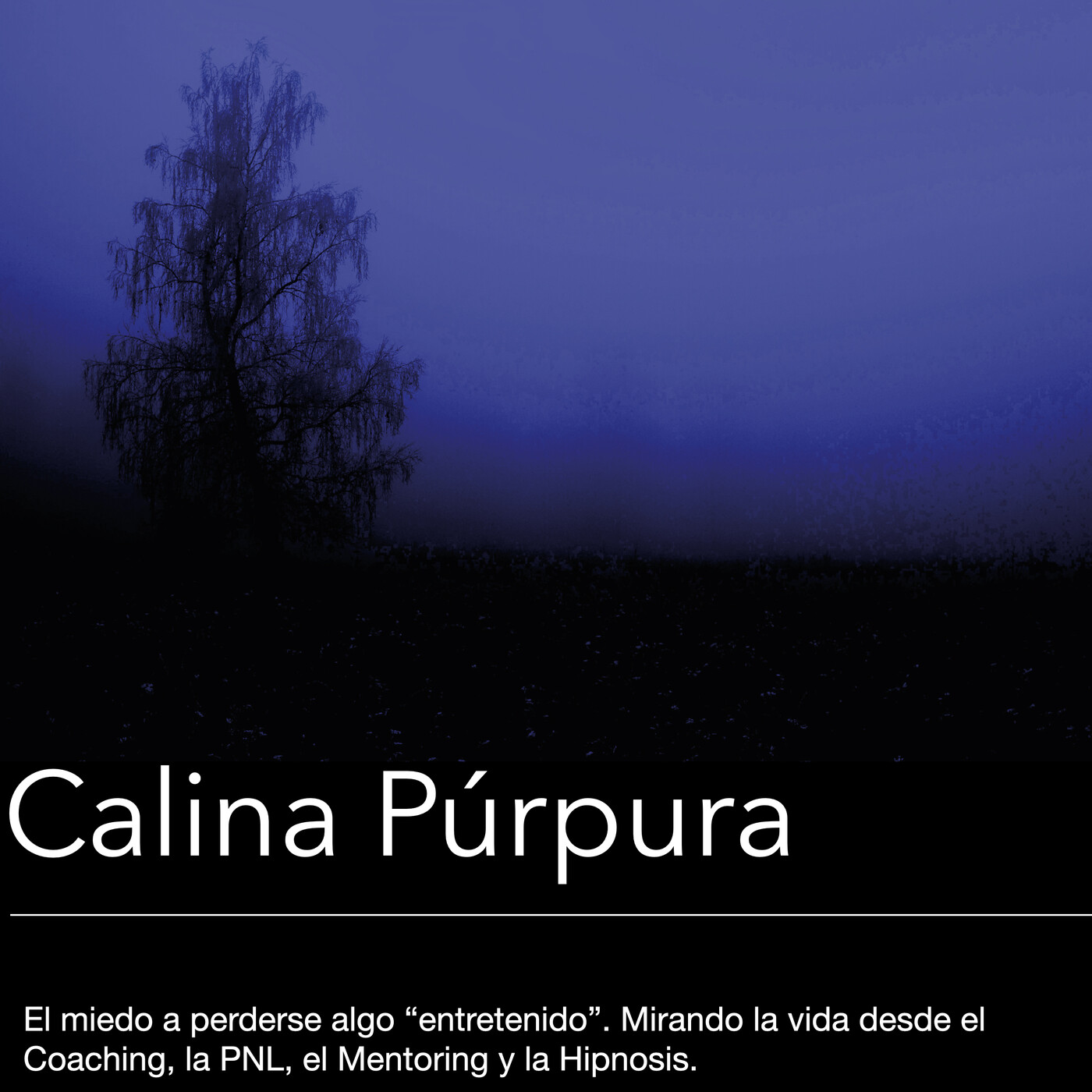 Paul Anwandter, Marisol Castillo y Silvana Trigo