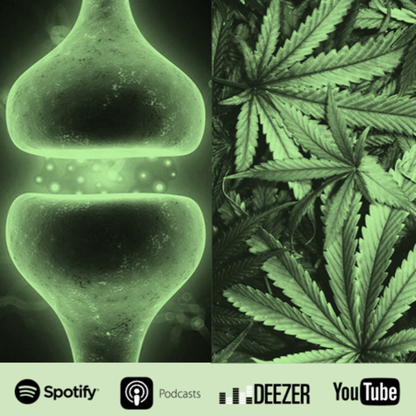 La Voz del Cannabis