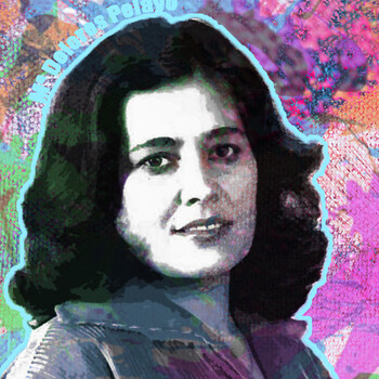 embed image
