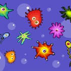 Virus y Bacterias - (6)