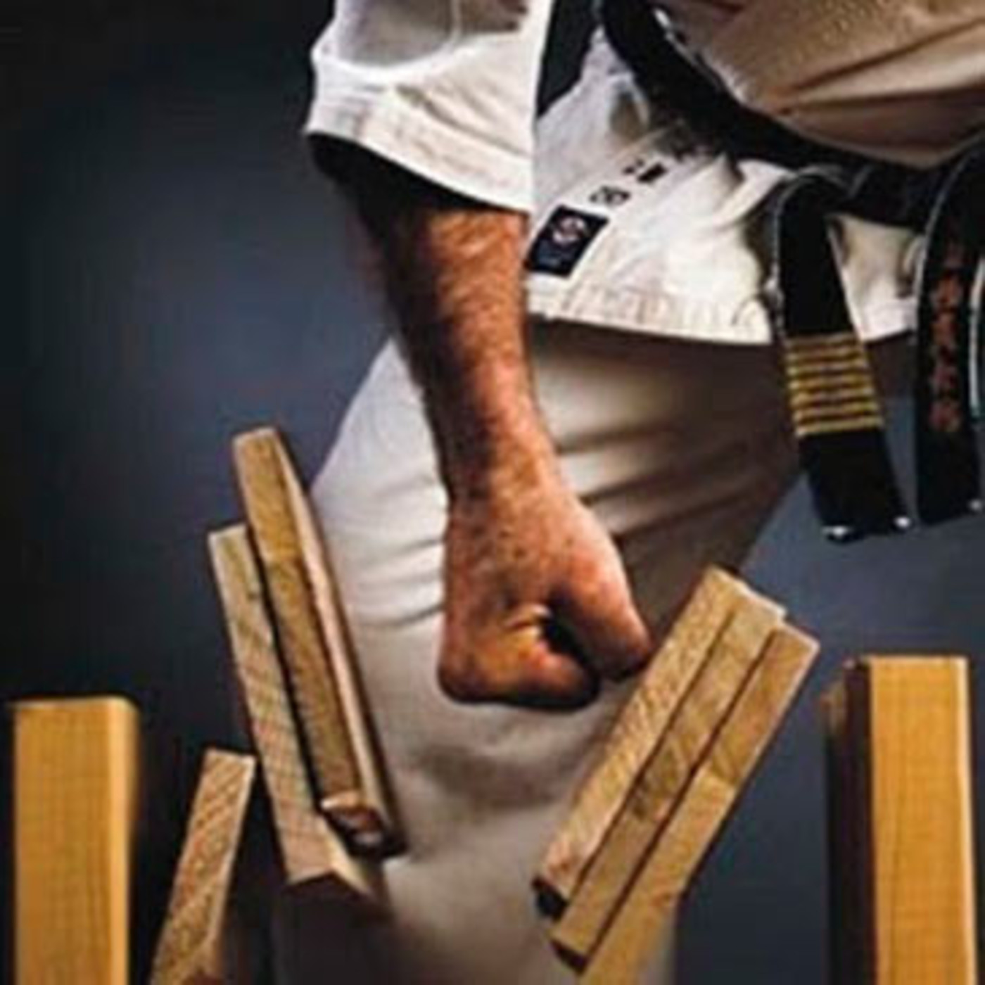 Dragonz | Artes Marciales y Deportes de Contacto