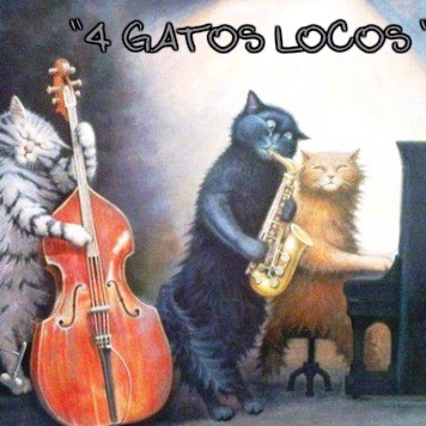 4 gatos locos