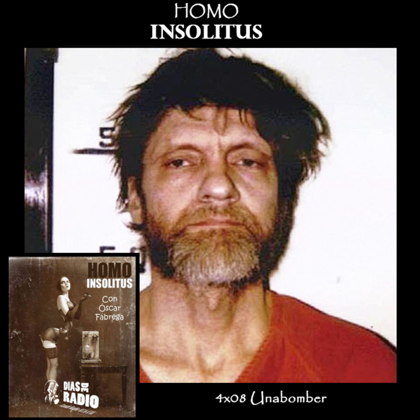 Homo Insolitus