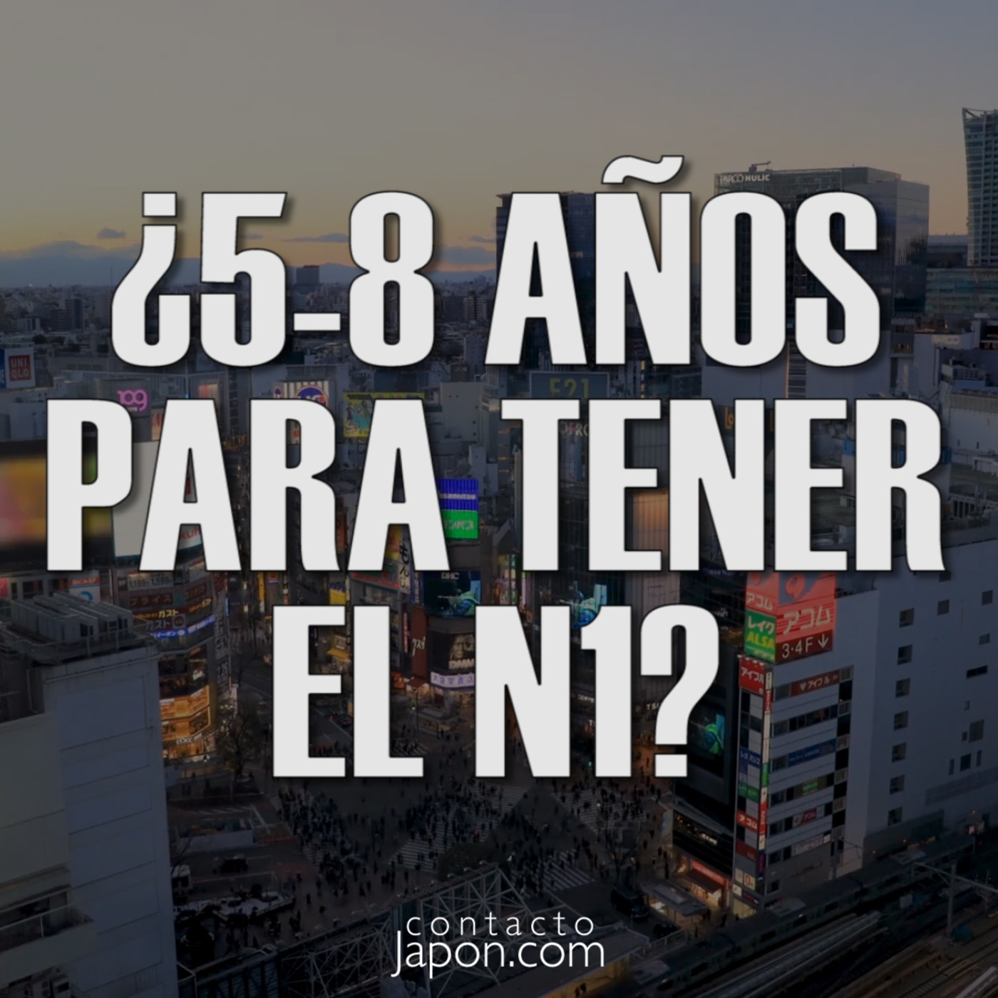 Contactojapon.com