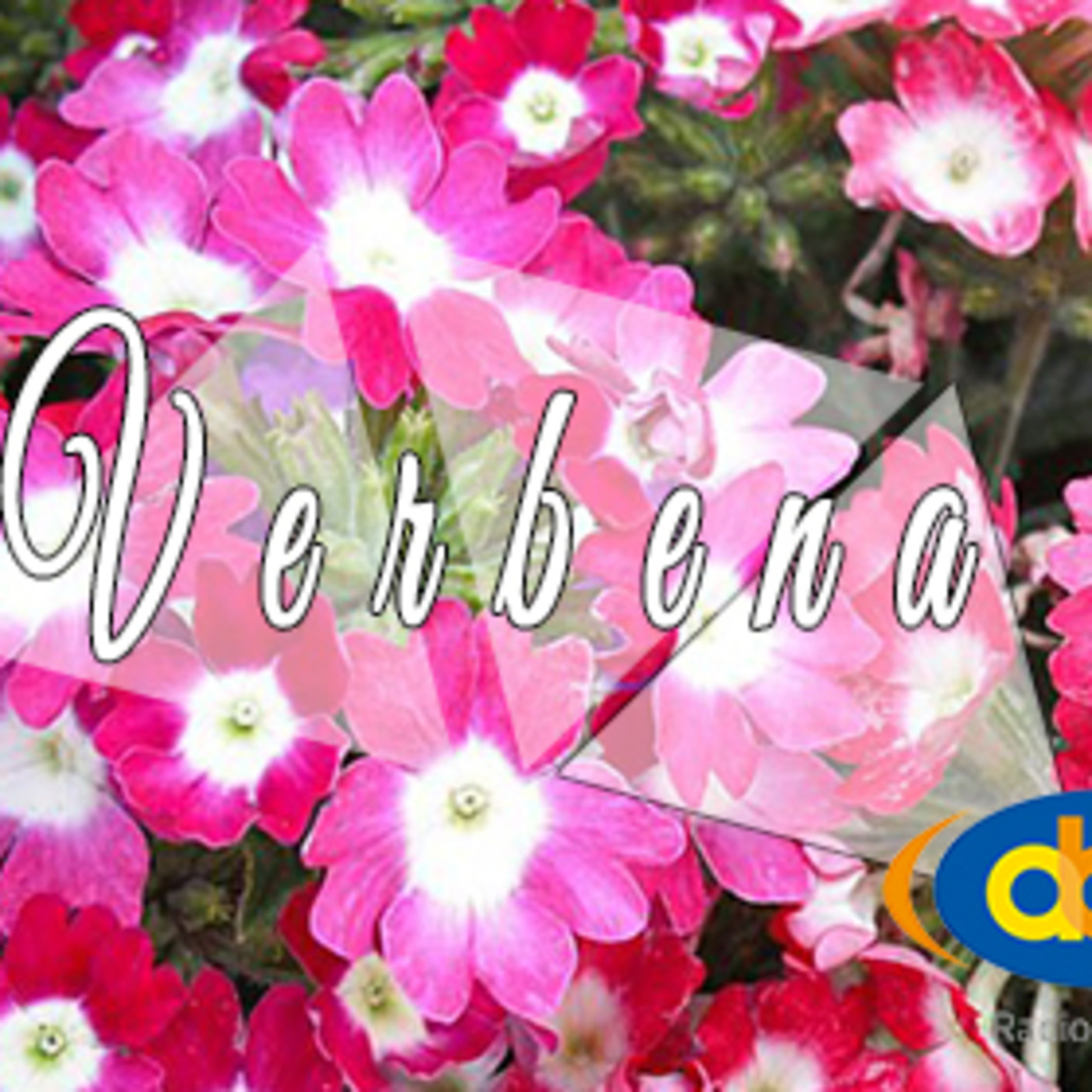 El Angel de tu Salud - VERBENA episode artwork