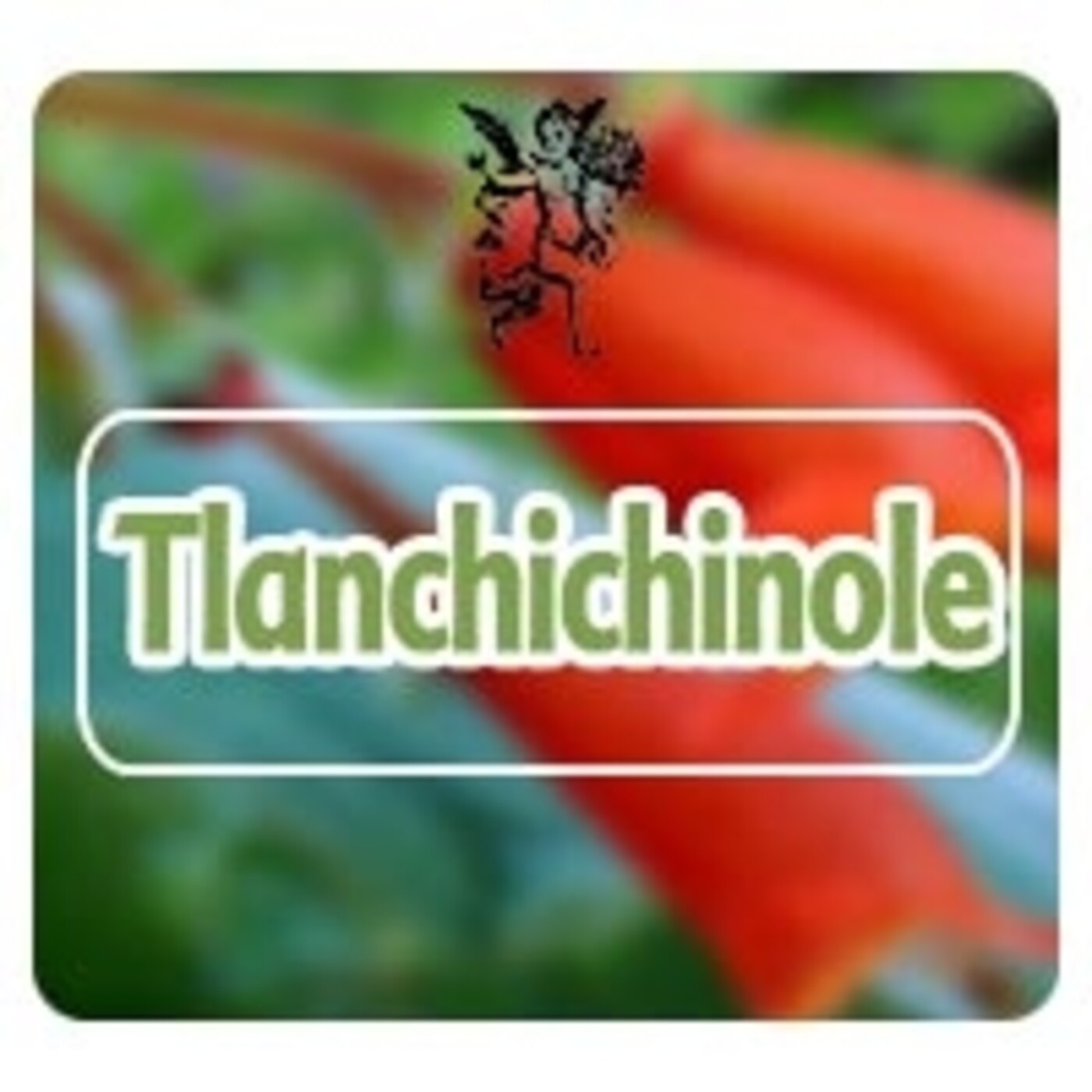 El Ángel de tu Salud -TLANCHICHINOLE