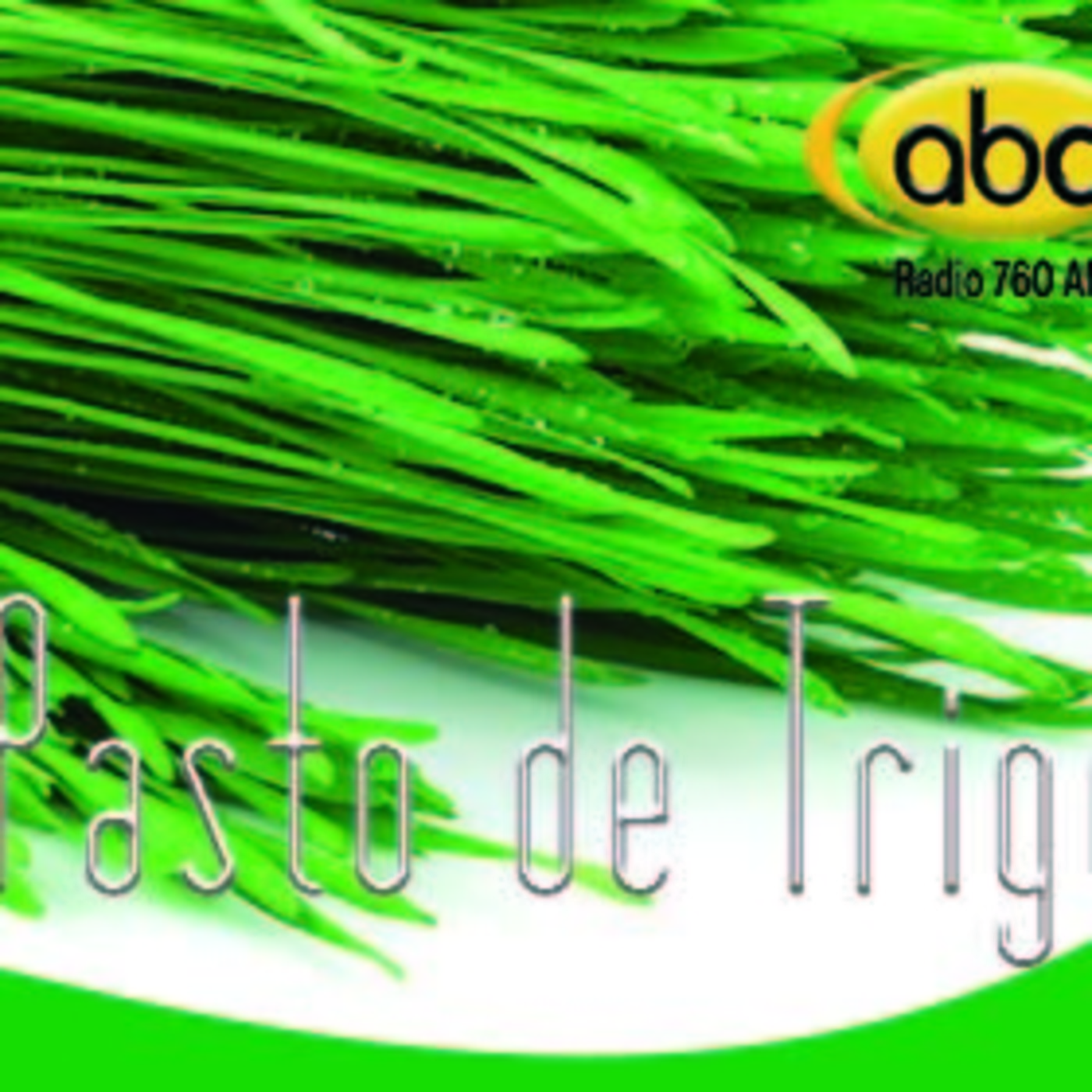 El Ángel de tu Salud - PASTO DE TRIGO episode artwork