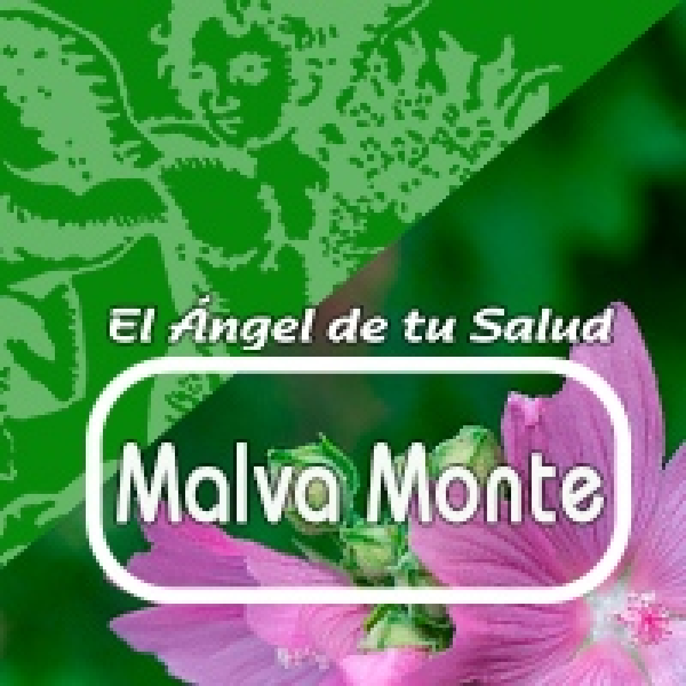 El Angel de tu Salud- MALVA MONTE* episode artwork