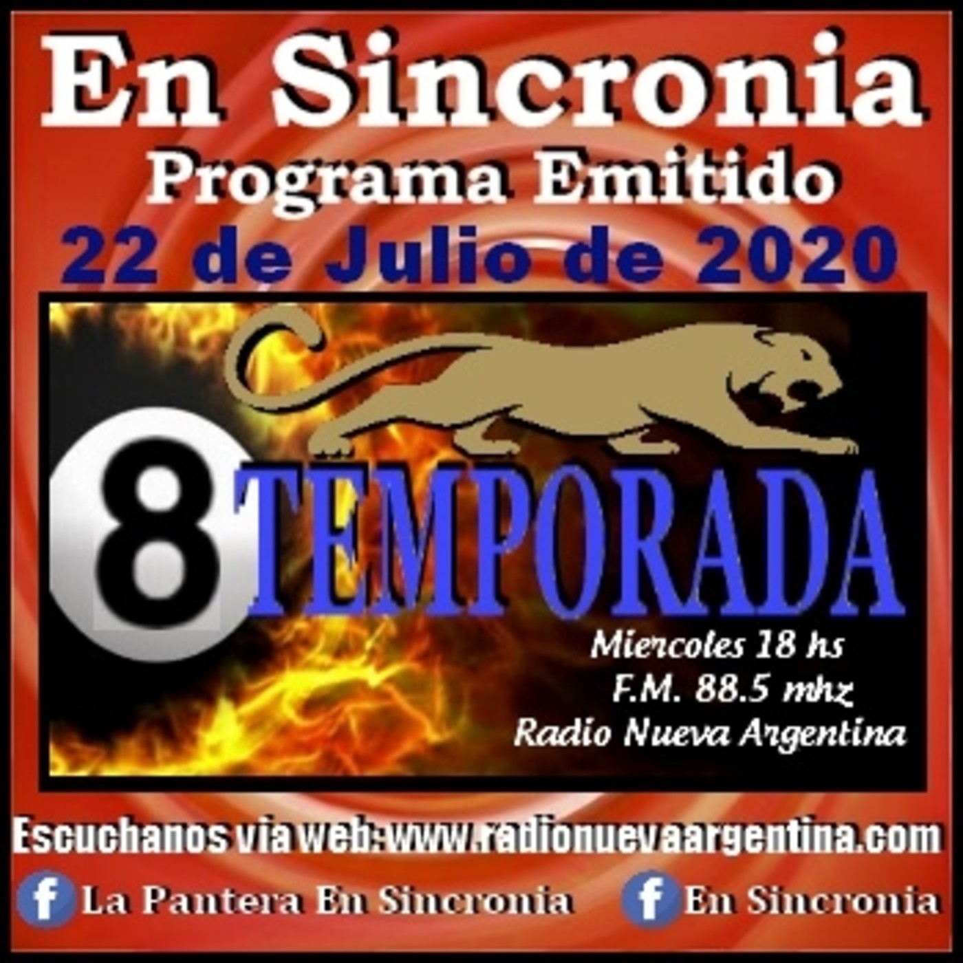 La Pantera En Sincronia