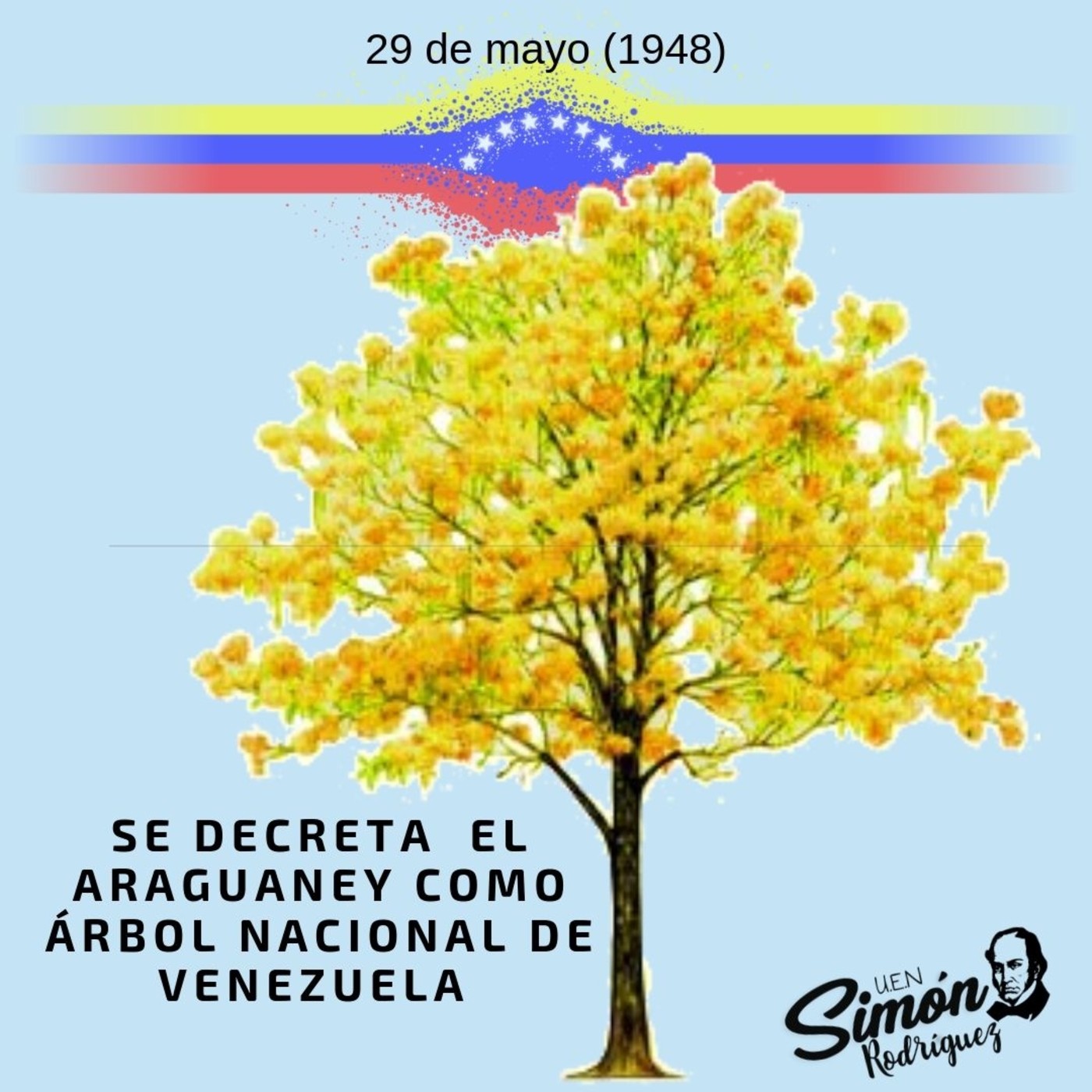 Voces Robinsonianas