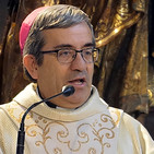 5-6-2017 - Romería Ntra. Sra. del Carmen Extramuros _ Homilía Luis Argüella