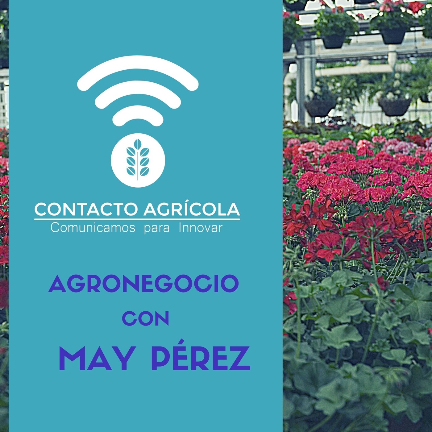 Contacto Agrícola