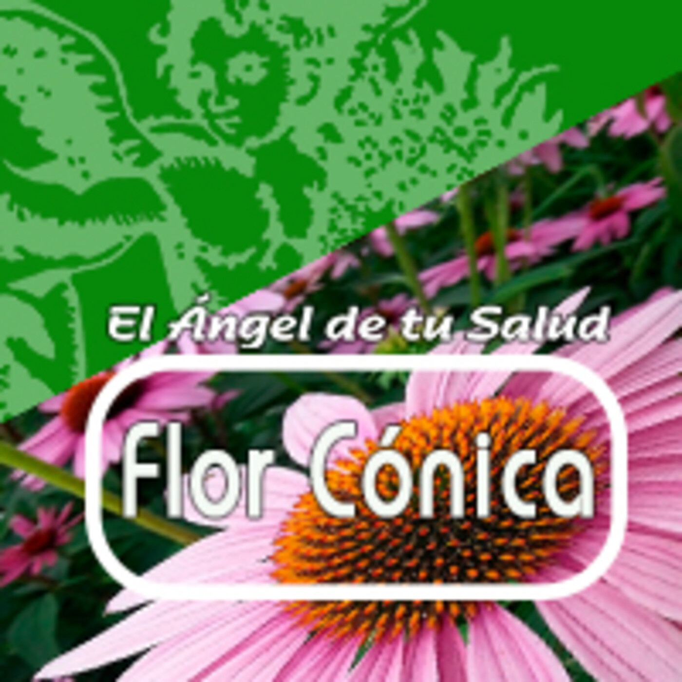 El Angel de tu Salud - FLOR CÓNICA con SERINA* episode artwork