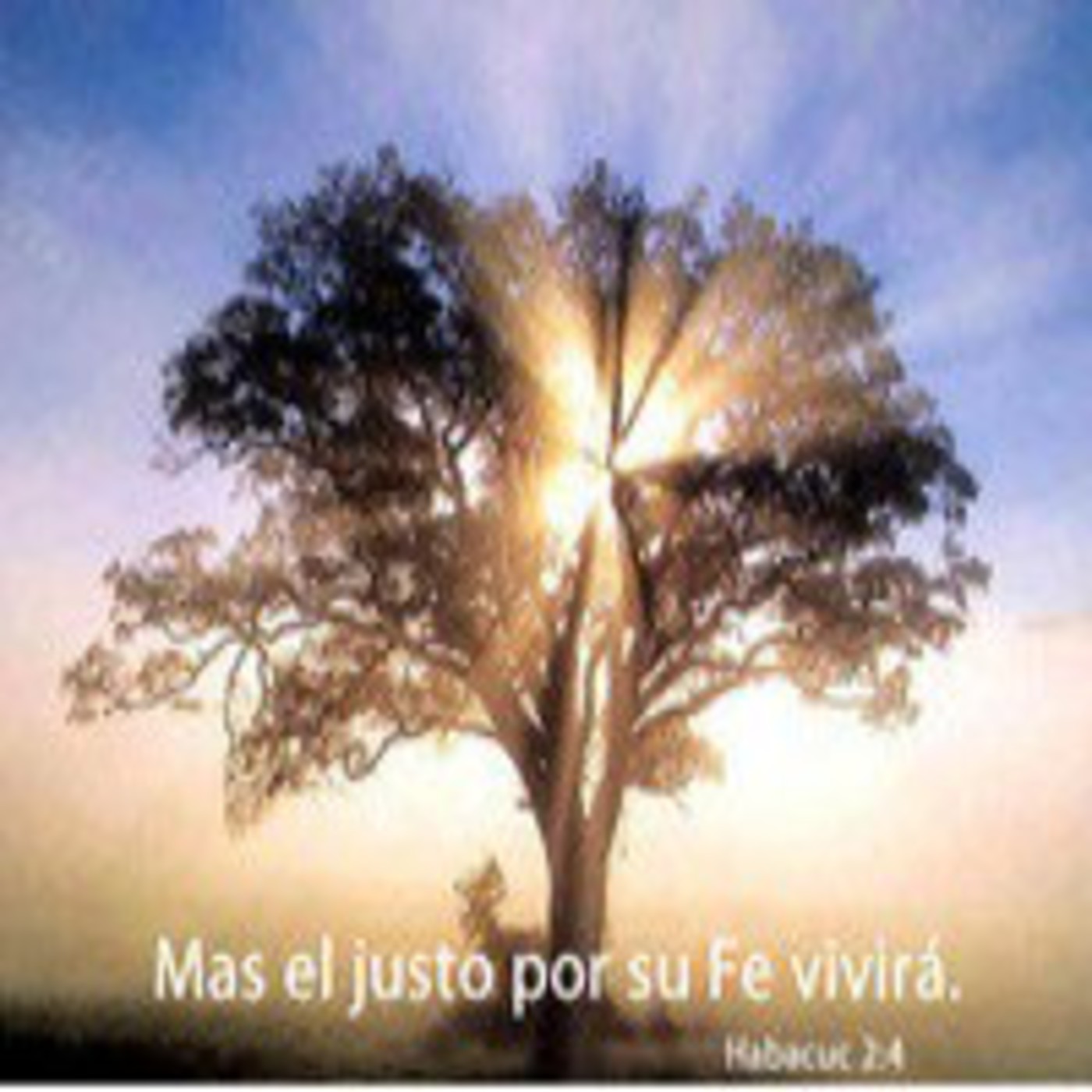 Podcast de Roeh Johan Rosado